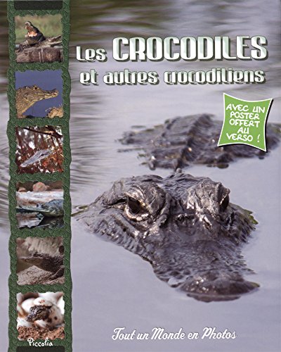 Crocodiles et autres crocodiliens (Les)