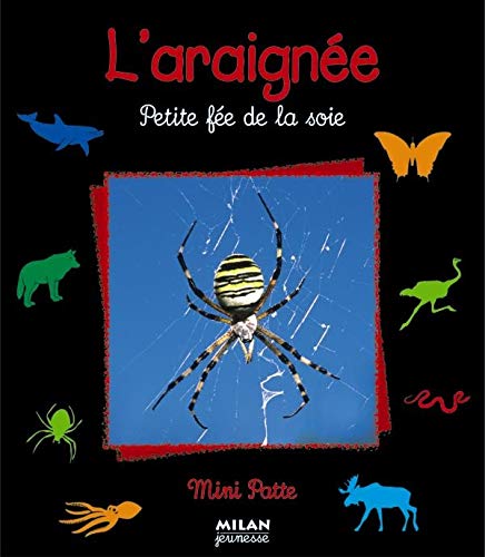 L'Araignée petite fée de la soie