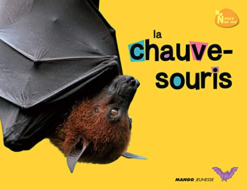 La Chauve-souris