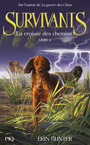 La Croisée des chemins T.4