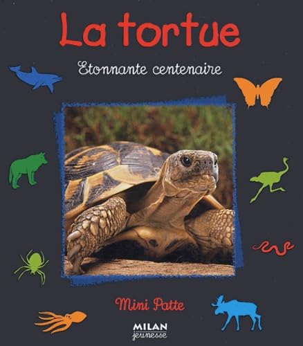 La Tortue