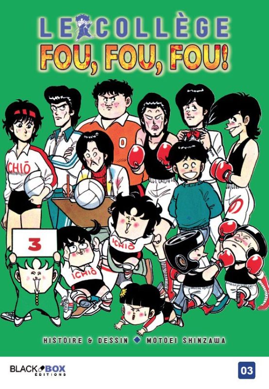 Le Collège fou, fou, fou ! T.3