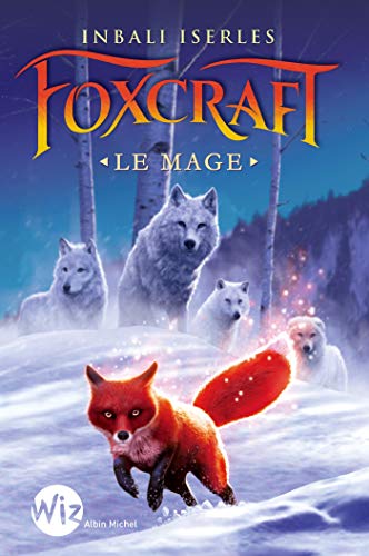 Le Mage T.3