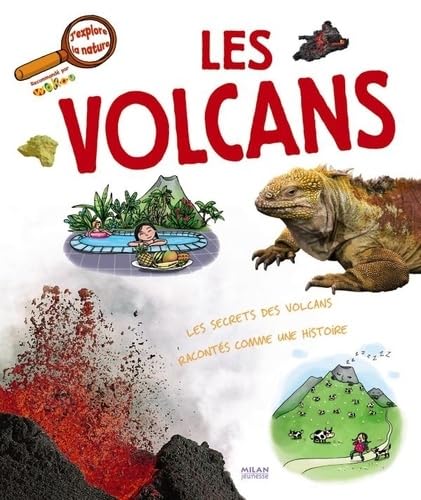Les Volcans