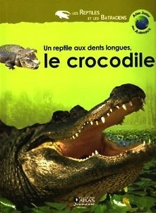 Un reptile aux dents longues, le crocodile